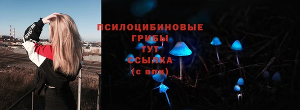 ПСИЛОЦИБИНОВЫЕ ГРИБЫ Аркадак