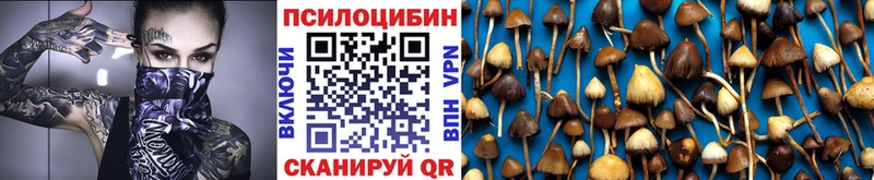 Псилоцибиновые грибы Psilocybe  Сурск 